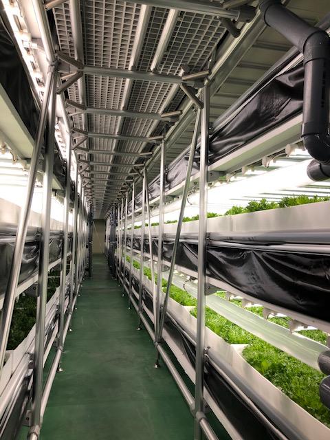  トータル的な栽培環境の提案【葉物野菜工場】