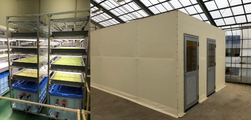  育苗自動システム【イチゴ栽培】